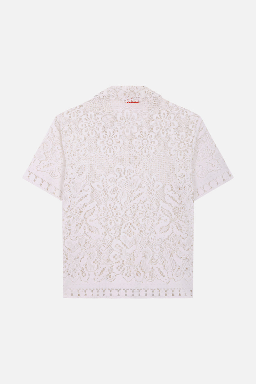 Paloma - Lace daisy bright multi button