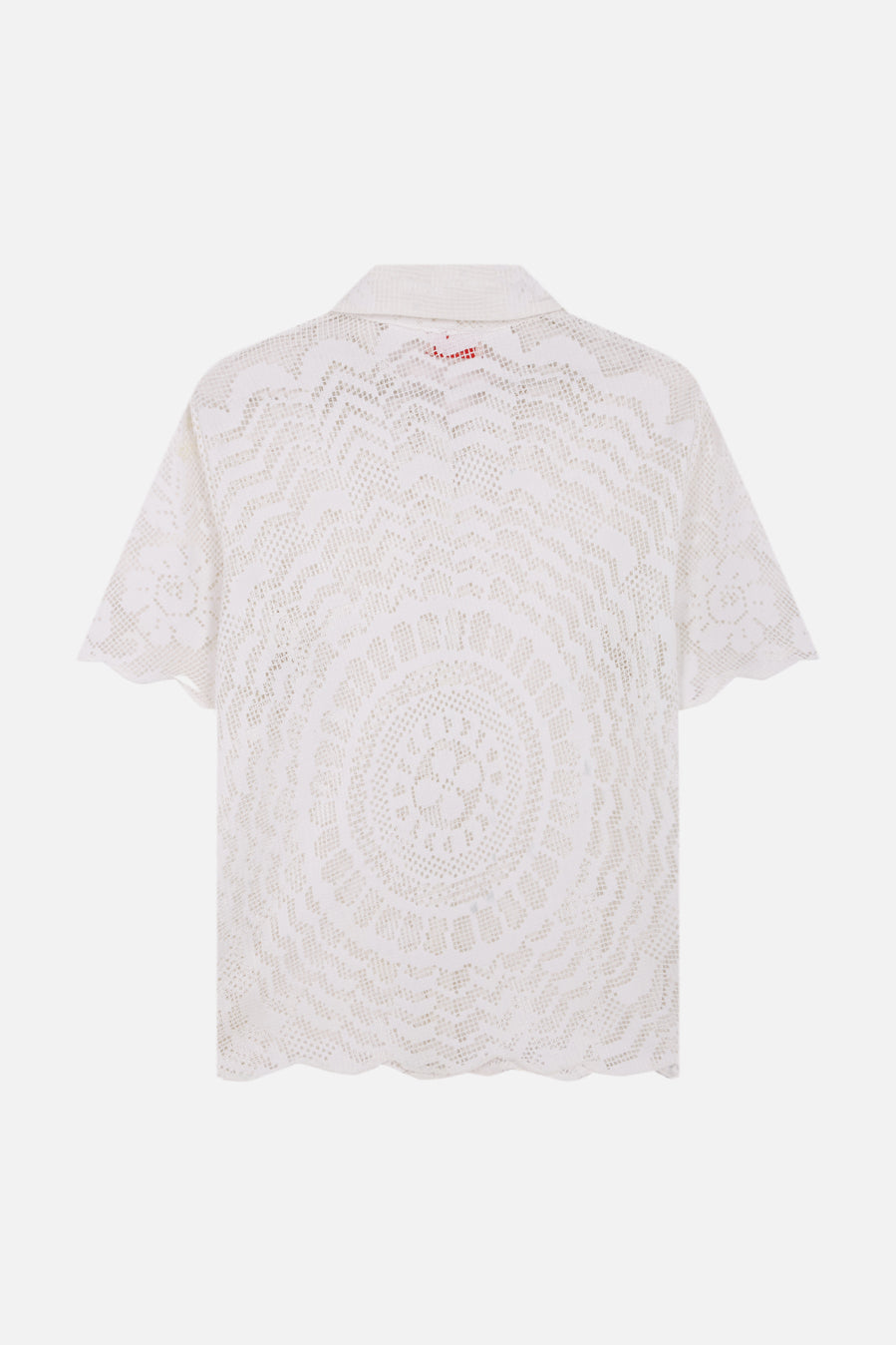 Paloma - Dawn flower lace
