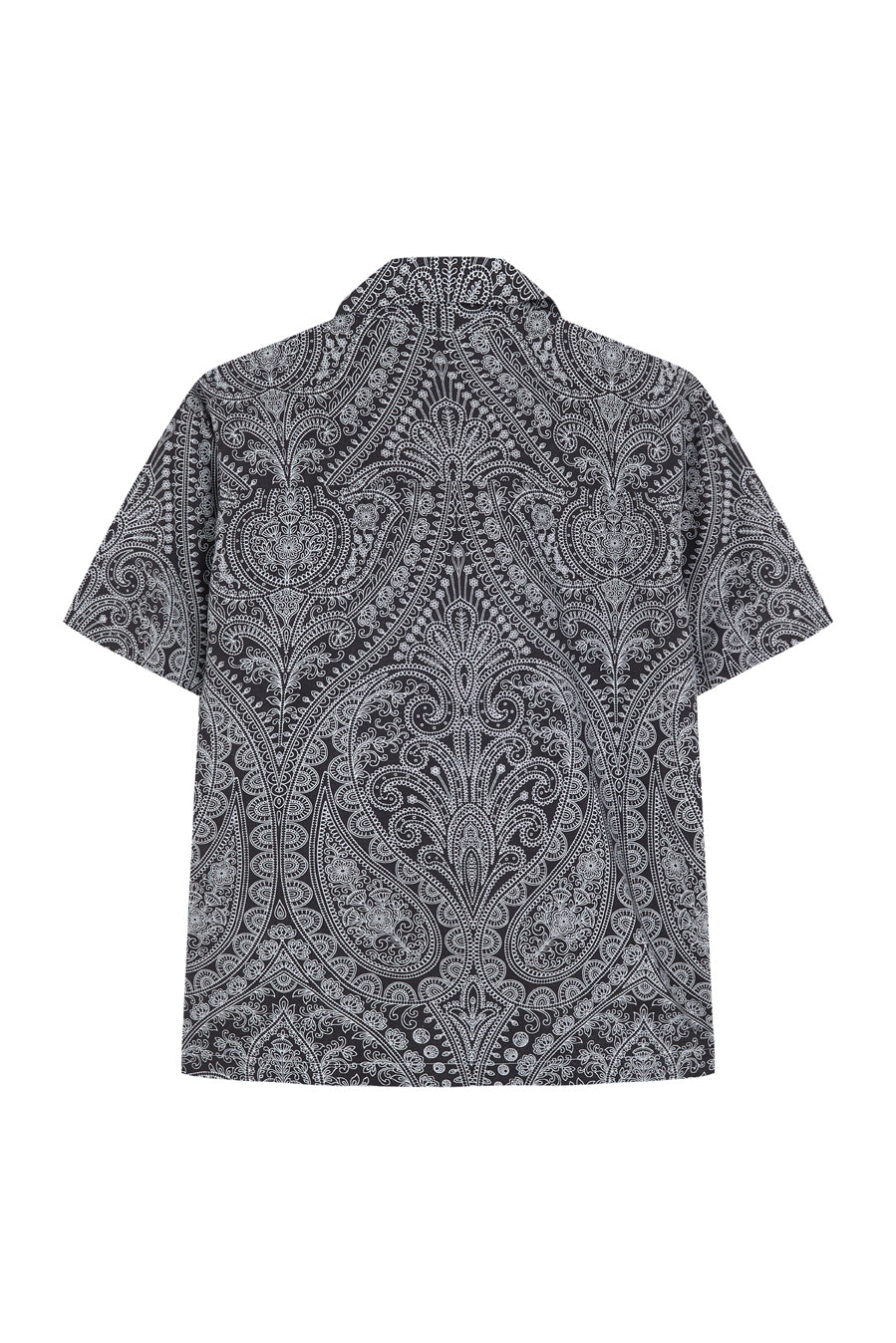 Paloma - Rock Paisley